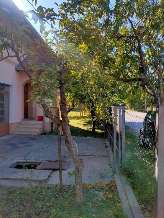 Prodaja, kuća, 315m², Adice, Novi Sad Sve Podlokacije