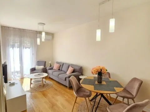 Izdavanje, jednosoban stan, 50m², Central Point, Podgorica - image 7