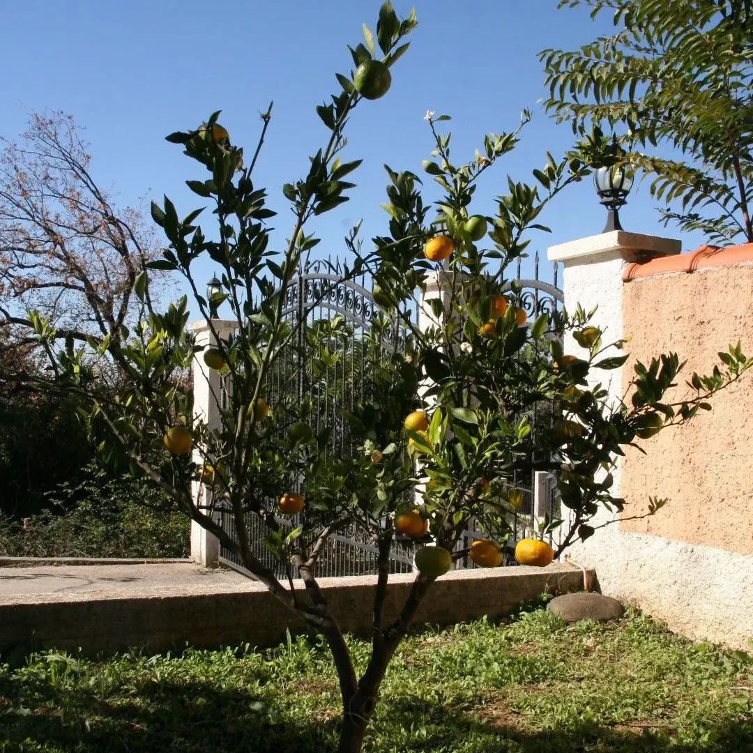 Sale, house, 450m², Kotor, Crna Gora