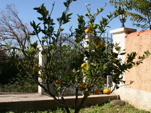 Sale, house, 450m², Kotor, Crna Gora - image 3