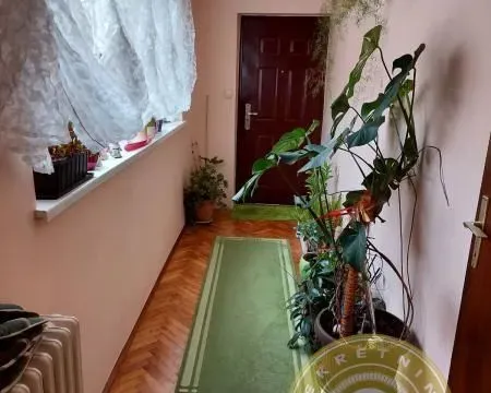 Sale, house, 100m², Veternik, Novi Sad Sve Podlokacije - image 5