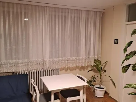 Izdavanje, jednosoban stan, 30m², Liman 3, Novi Sad Sve Podlokacije - image 4