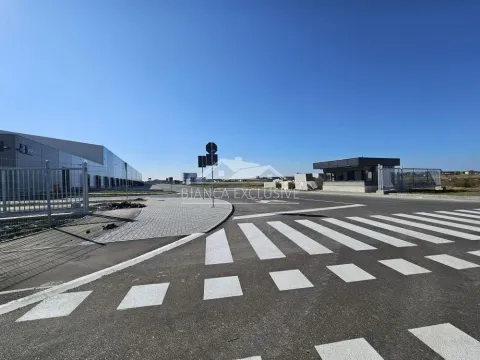 Prodaja, plac, 22200m², Dobanovci, Surčin - image 9