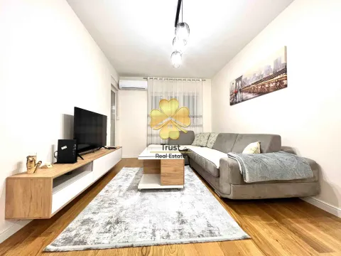 Izdavanje, jednosoban stan, 47m², Central Point, Podgorica