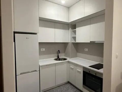 Izdavanje, jednosoban stan, 40m², Central Point, Podgorica - image 9