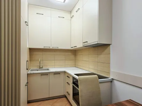 Rent, one bedroom apartment, 43m², Tuški Put, Podgorica - image 3