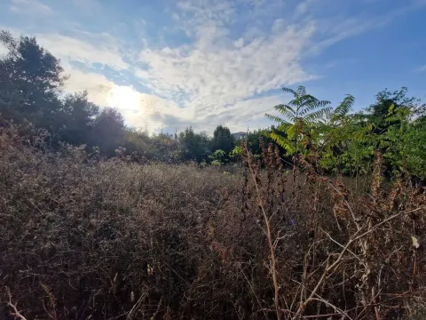 Prodaja, plac, 575m², Tivat, Crna Gora - image 2