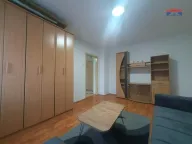 Izdavanje, jednosoban stan, 29m2, Detelinara, Novi Sad, Novi Sad