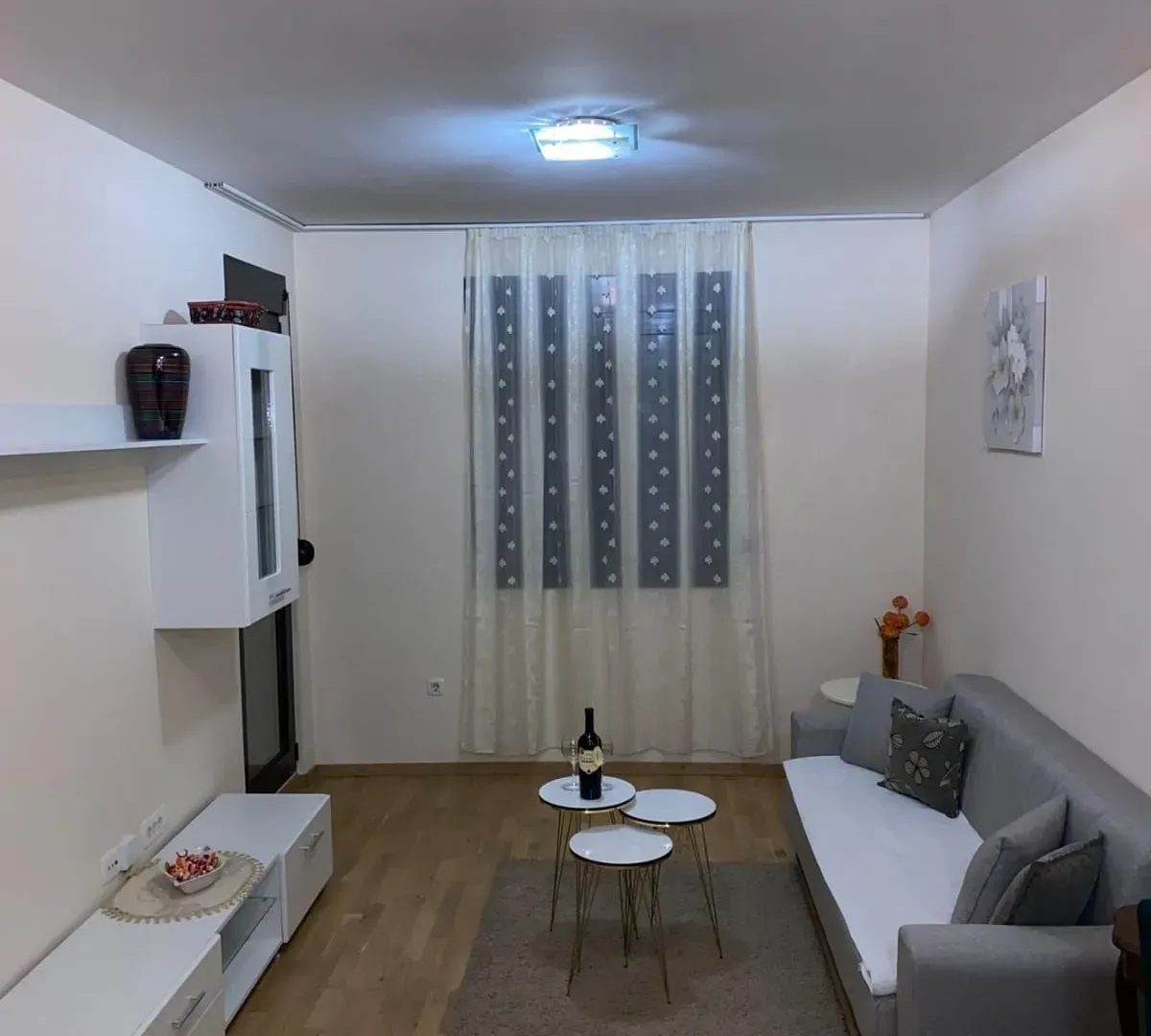 Rent, one bedroom apartment, 45m², Vezirov Most, Podgorica