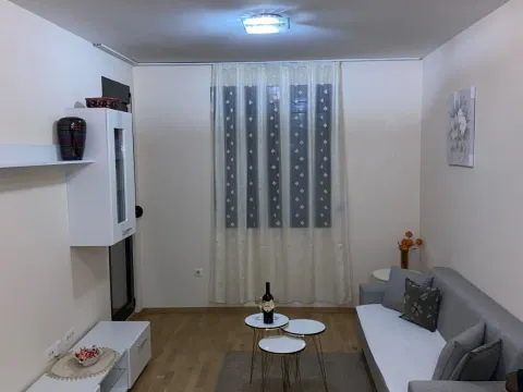 Izdavanje, jednosoban stan, 45m², Vezirov Most, Podgorica