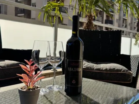 Izdavanje, jednosoban stan, 50m², City Kvart, Podgorica - image 14