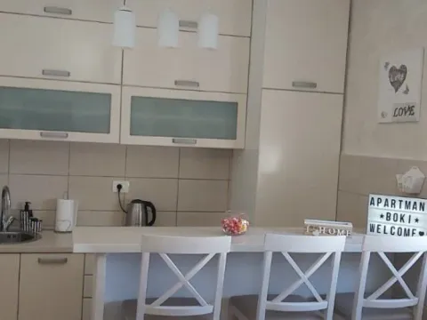 Izdavanje, jednosoban stan, 40m², Budva, Crna Gora - image 5