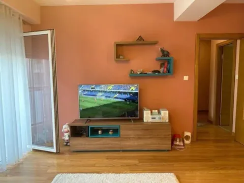 Izdavanje, jednosoban stan, 50m², Zabjelo, Podgorica - image 6