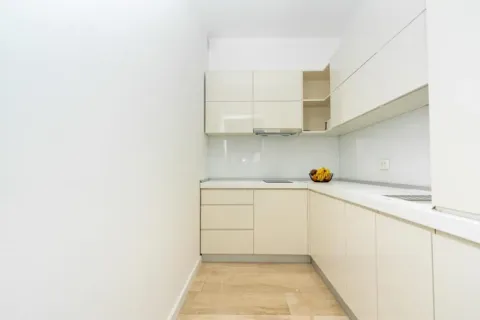 Modern white kitchen with built-in cabinetry and countertop. - image 4