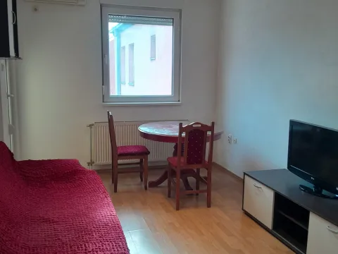 Izdavanje, dvosoban stan, 38m², Novi Sad Sve Podlokacije, Novi Sad - image 3