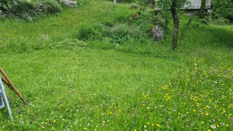 Zeleno dvorište puno trave i poljskog cvijeća. - image 5