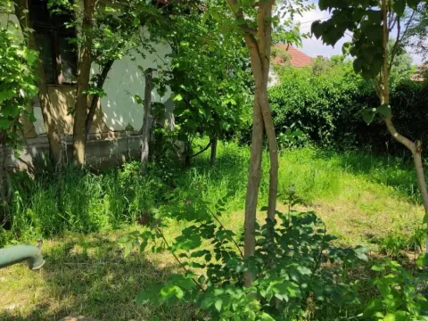 Prodaja, kuća, 75m², Ribare, Jagodina - image 10