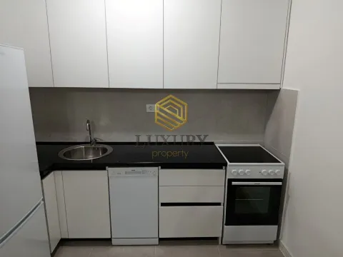 Rent, one bedroom apartment, 42m², Stari Aerodrom, Podgorica - image 4