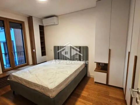 Izdavanje, dvosoban stan, 47m², Vračar Sve Podlokacije, Beograd - image 5