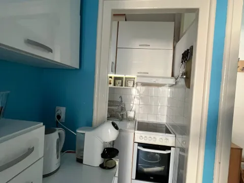Rent, two bedroom apartment, 44m², Vukov Spomenik, Zvezdara Sve Podlokacije - image 7