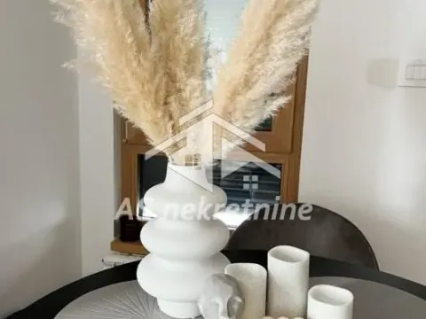 Izdavanje, dvosoban stan, 40m², Kluz, Zvezdara Sve Podlokacije - image 5