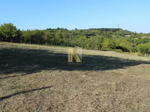 Sale, land lot, 2000m², Sremska Kamenica, Petrovaradin - image 4