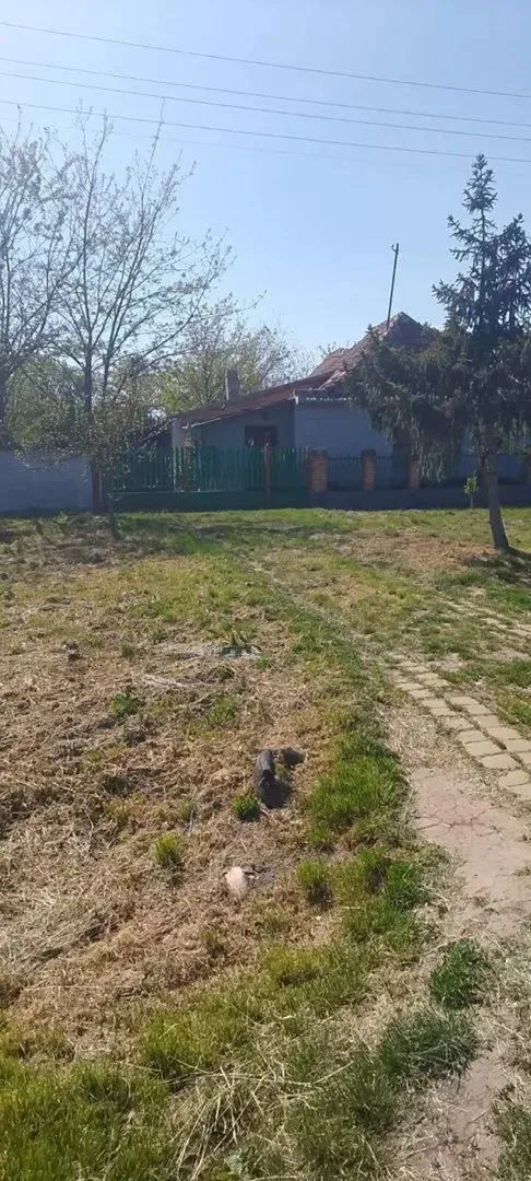Sale, house, 500m², Kikinda, Srbija