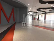 Rent, office space, 347m², Krivi Most, Podgorica - image 6