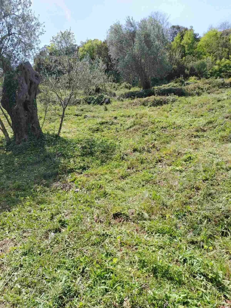 Sale, land lot, 756m², Zeleni Pojas, Bar