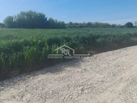 Sale, land lot, 3854m², Čukarica, Beograd - image 2