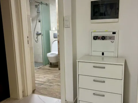 Izdavanje, jednosoban stan, 44m², Zemun Sve Podlokacije, Beograd - image 14