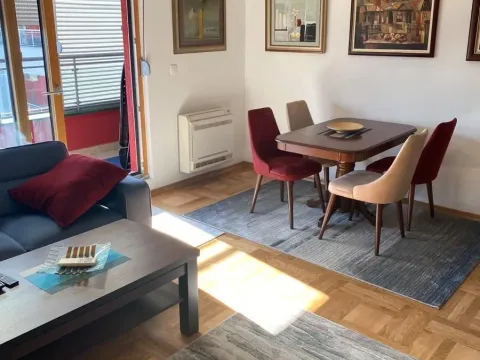 Izdavanje, jednosoban stan, 70m², Preko Morače, Podgorica - image 10