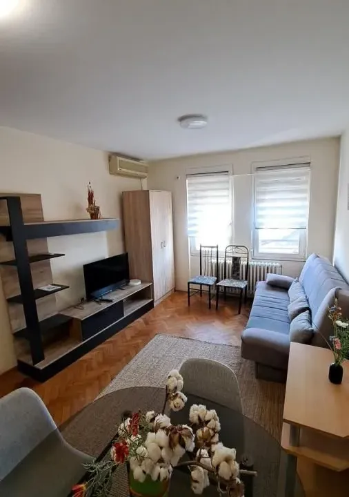 Izdavanje, dvosoban stan, 36m², Centar, Novi Sad