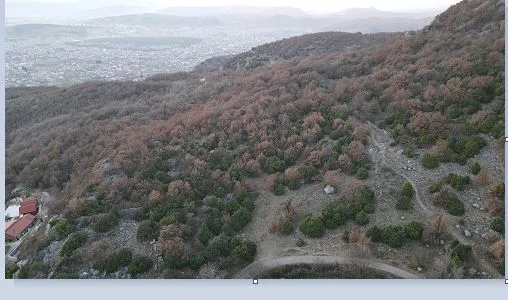 Prodaja, plac, 9650m², Doljani, Podgorica