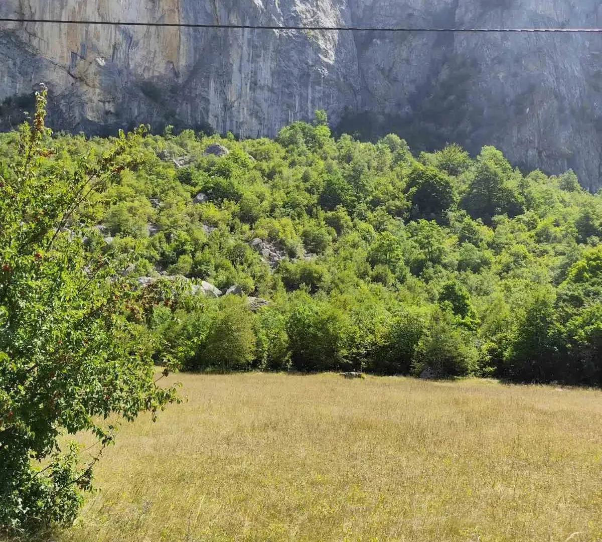 Prodaja, plac, 4700m², Žabljak, Crna Gora