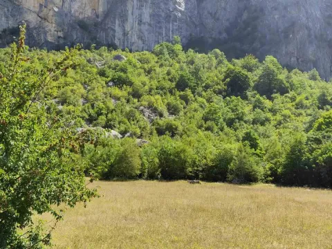 Prodaja, plac, 4700m², Žabljak, Crna Gora - image 7