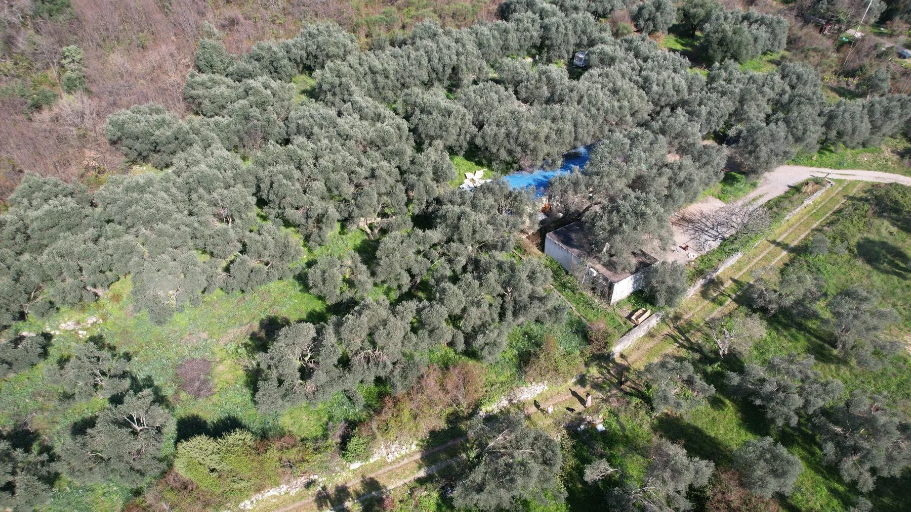 Prodaja, plac, 15810m², Buljarica, Budva