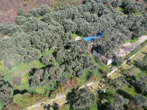 Prodaja, plac, 15810m², Buljarica, Budva - image 20