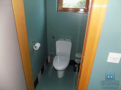 Izdavanje, poslovni prostor, 270m², 7. juli, Paraćin - image 55