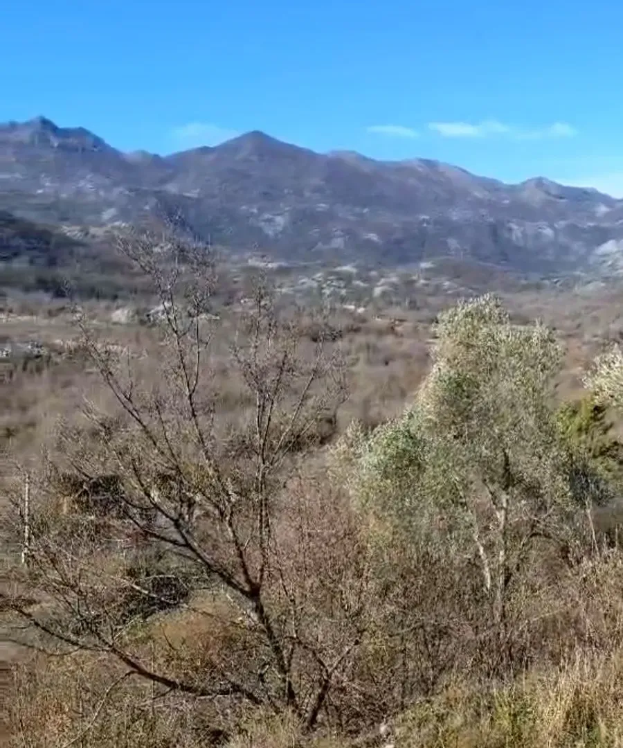 Prodaja, plac, 165000m², Cetinje, Crna Gora