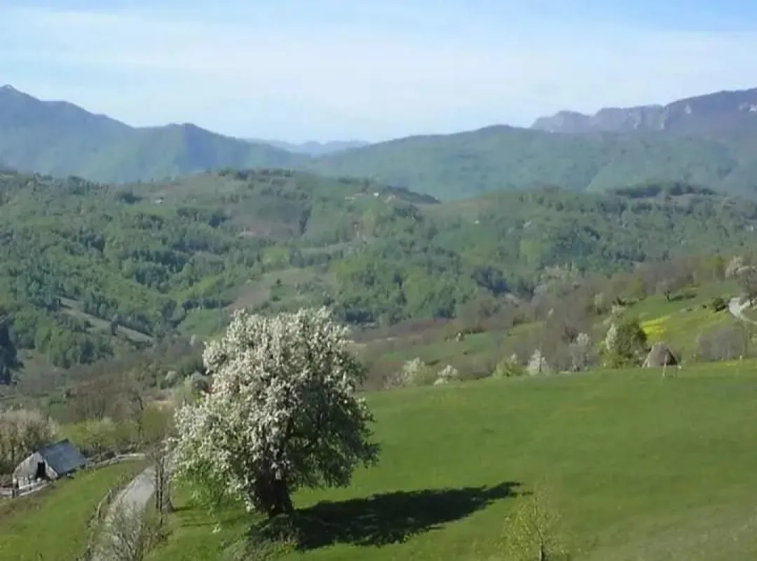 Prodaja, plac, 30905m², Mojkovac, Crna Gora