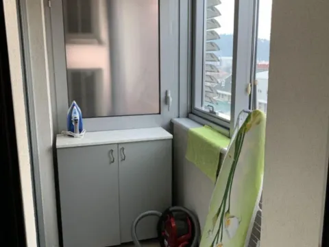 Izdavanje, jednosoban stan, 42m², Centar, Podgorica - image 2