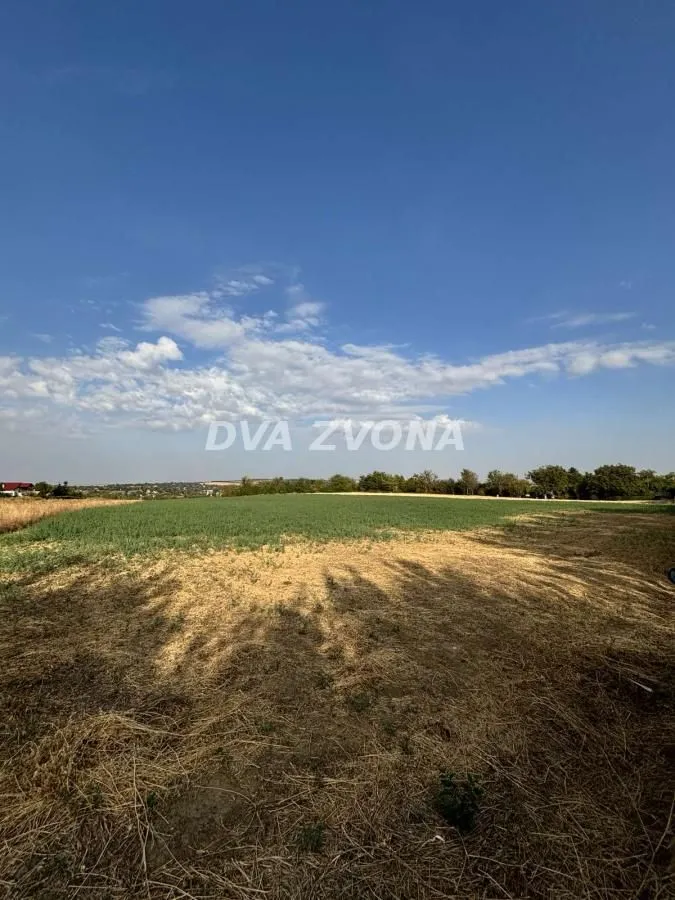 Prodaja, plac, 1100m², Čortanovci, Inđija