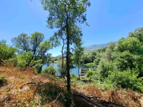 Prodaja, plac, 700m², Danilovgrad, Crna Gora - image 3