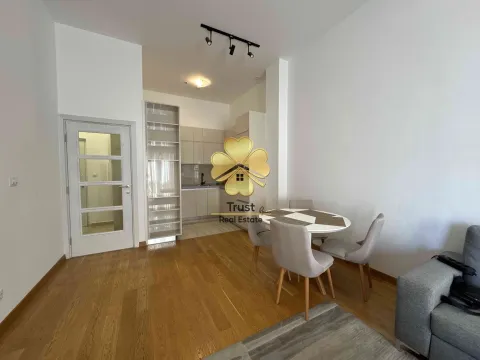 Izdavanje, jednosoban stan, 50m², Podgorica, Crna Gora - image 2