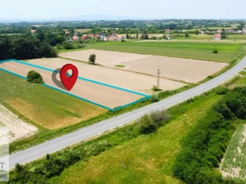 Prodaja, plac, 4000m², Zvezd, Vladimirci - image 6