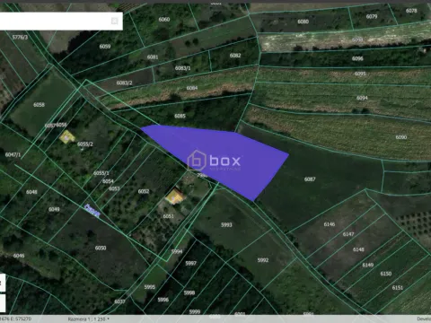 Prodaja, plac, 341100m², Niš, Srbija - image 2