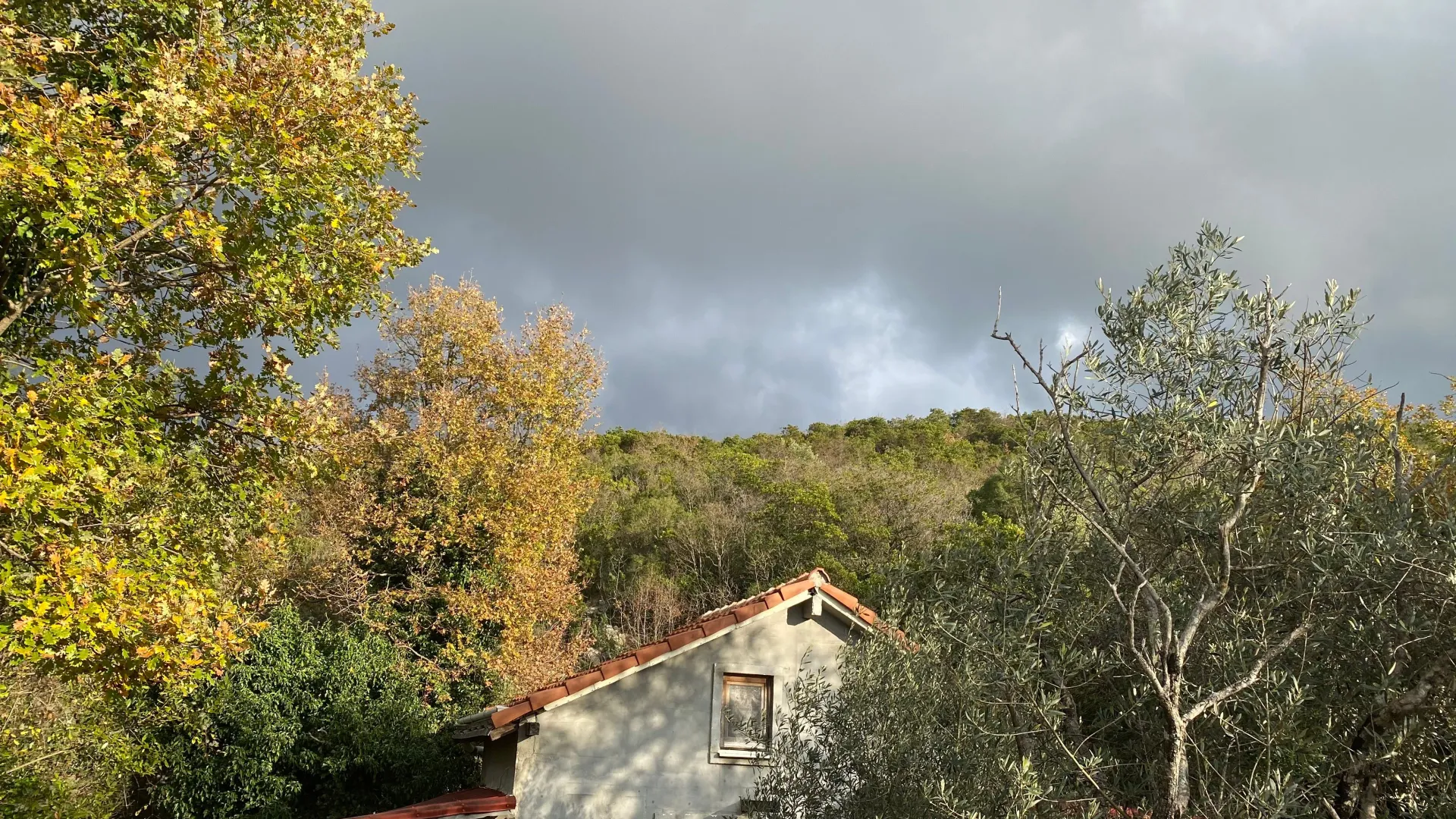 Sale, house, 65m², Kovači, Kotor