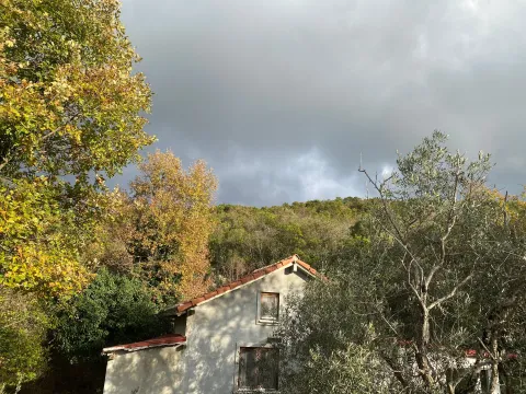 Sale, house, 65m², Kovači, Kotor - image 13