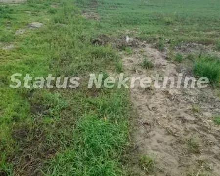 Prodaja, plac, 686m², Futog, Novi Sad Sve Podlokacije - image 9